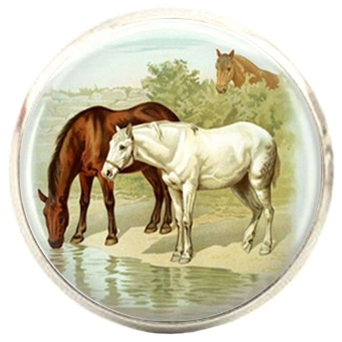 Bassin and Brown Horses Cufflinks - Brown/White - Image 2