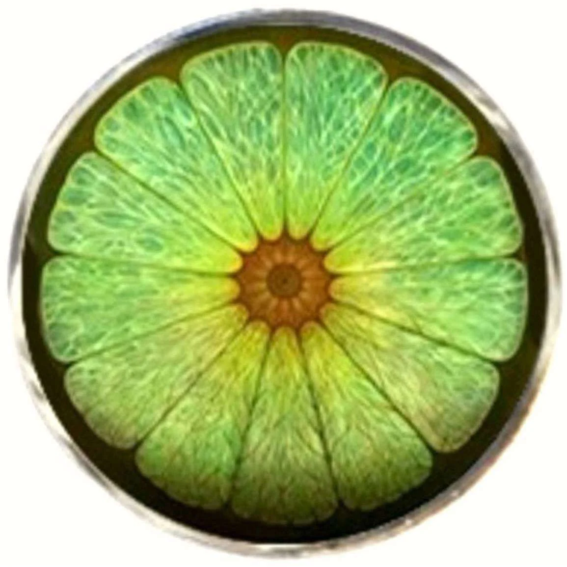 Bassin and Brown Lime Fruit Cufflinks - Green - Image 4