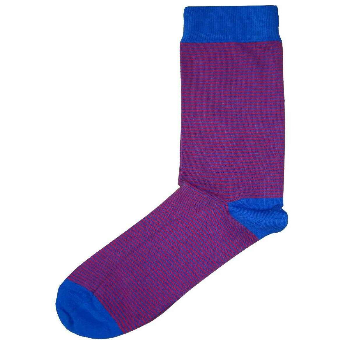 Bassin and Brown Narrow Stripe Socks - Royal Blue/Red