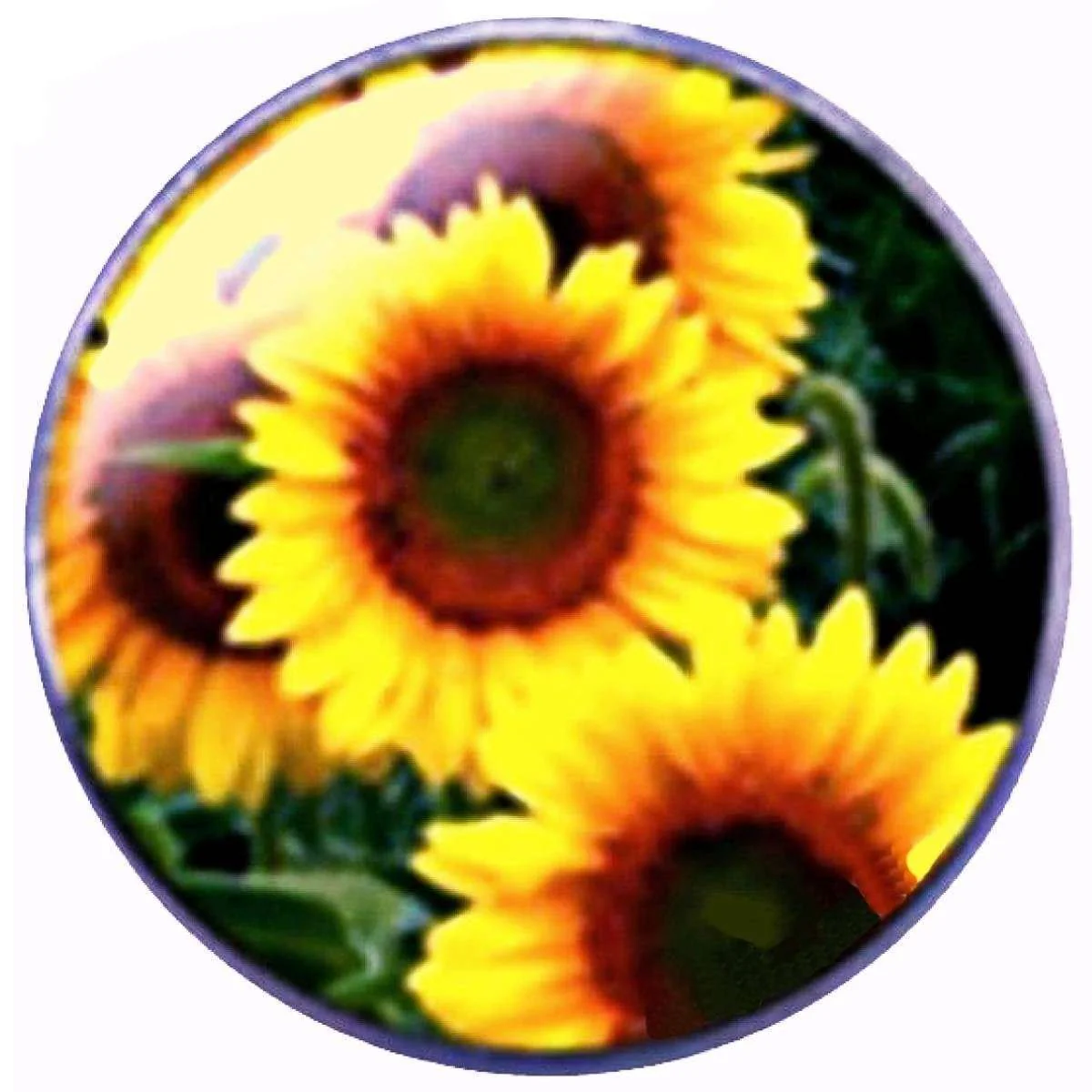 Bassin and Brown Sunflower Key Ring - Yellow/Brown - Image 3
