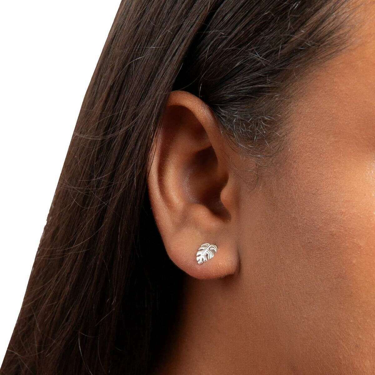 Beginnings Monstera Leaf Stud Earrings - Silver - Image 2