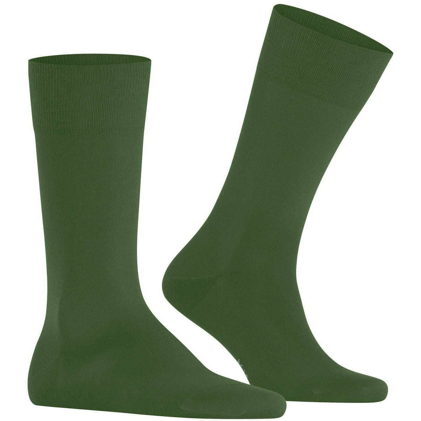 Falke Cool 24/7 Socks - Cypress Green - Image 2