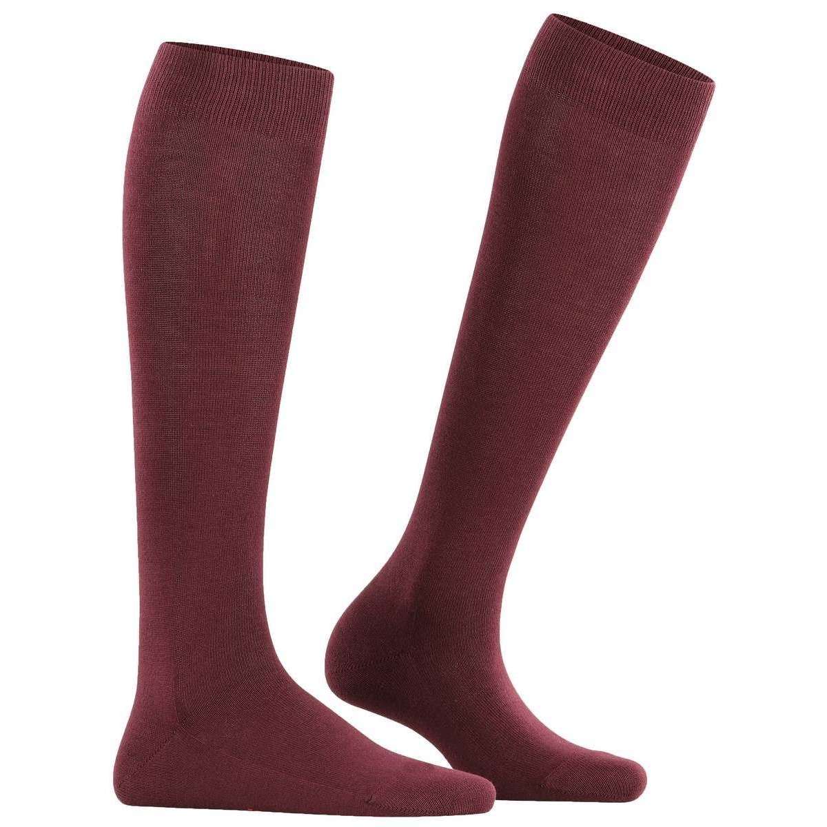 Falke Family Knee High Socks - Barolo Purple - Image 2