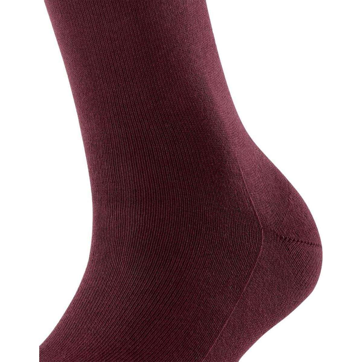 Falke Family Socks - Barolo Purple - Image 5