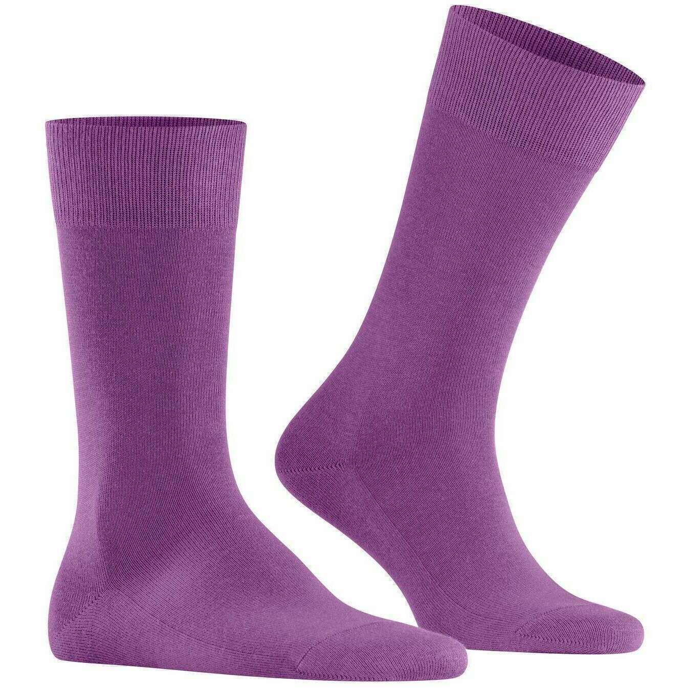 Falke Family Socks - Phlox Purple - Image 2