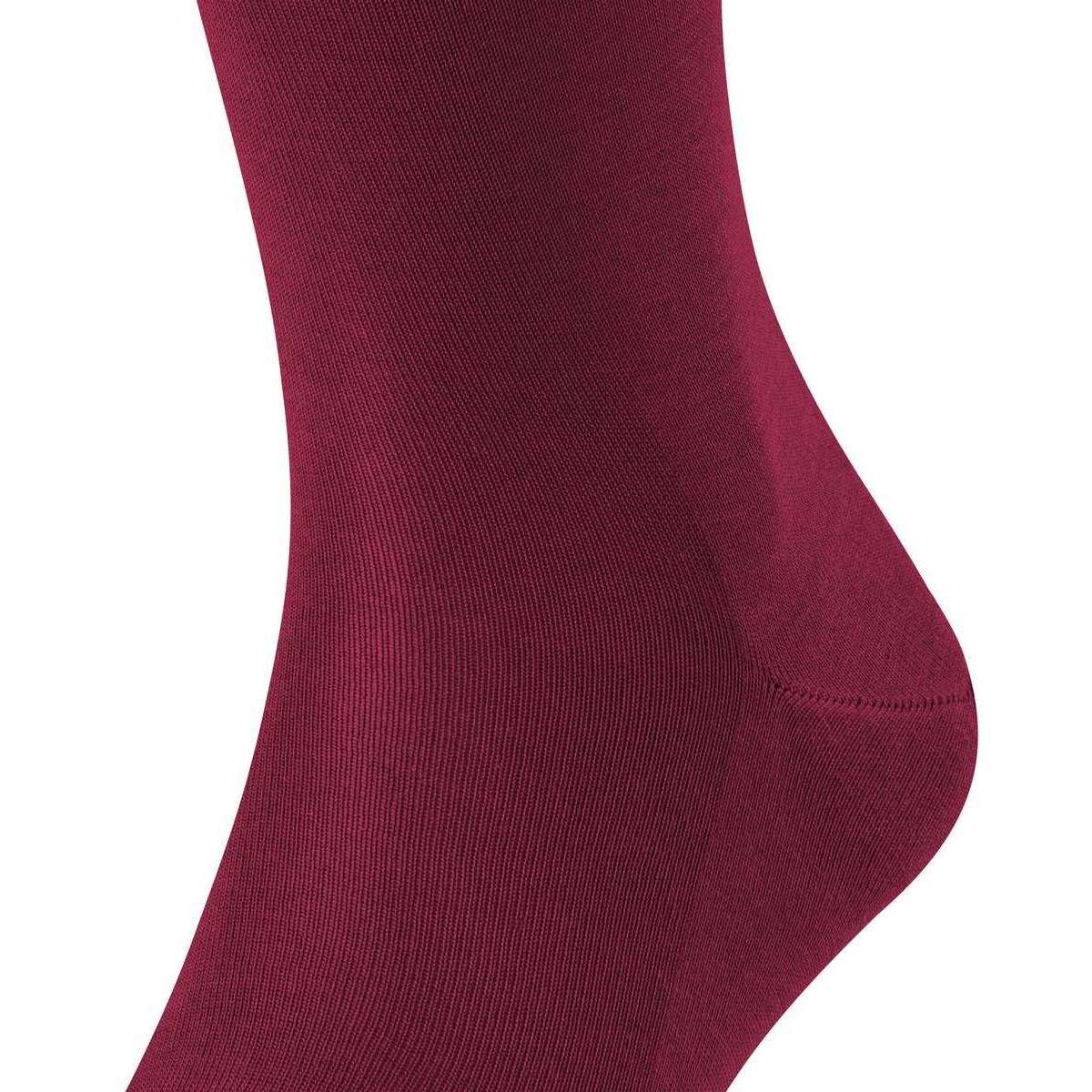 Falke Tiago Knee High Socks - Burgundy - Image 4
