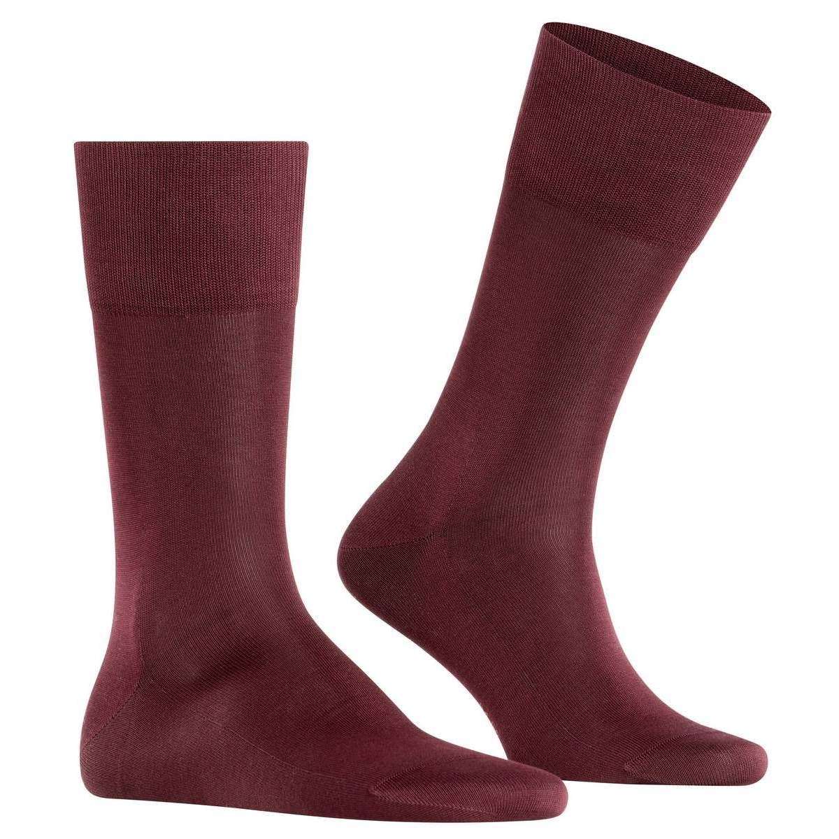 Falke Tiago Socks - Burgundy - Image 2