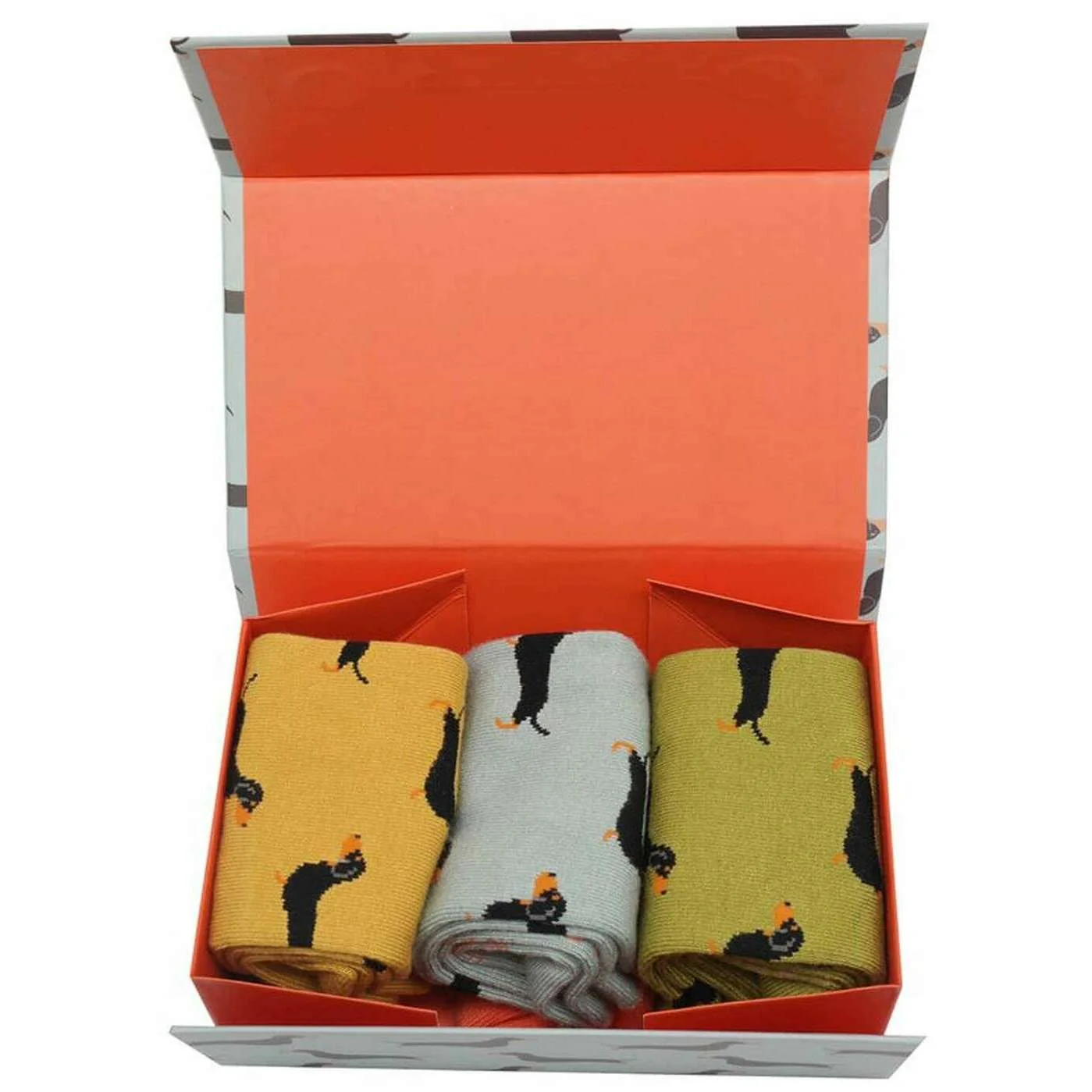 Miss Sparrow London 3 Pack Little Sausage Dogs Sock Box - Blue/Green/Yellow - Image 4