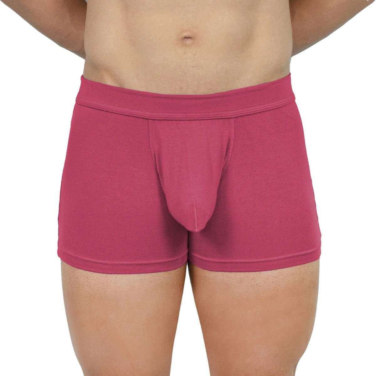 Obviously EliteMan Boxer Brief 3inch Leg - Brick Red - Image 4