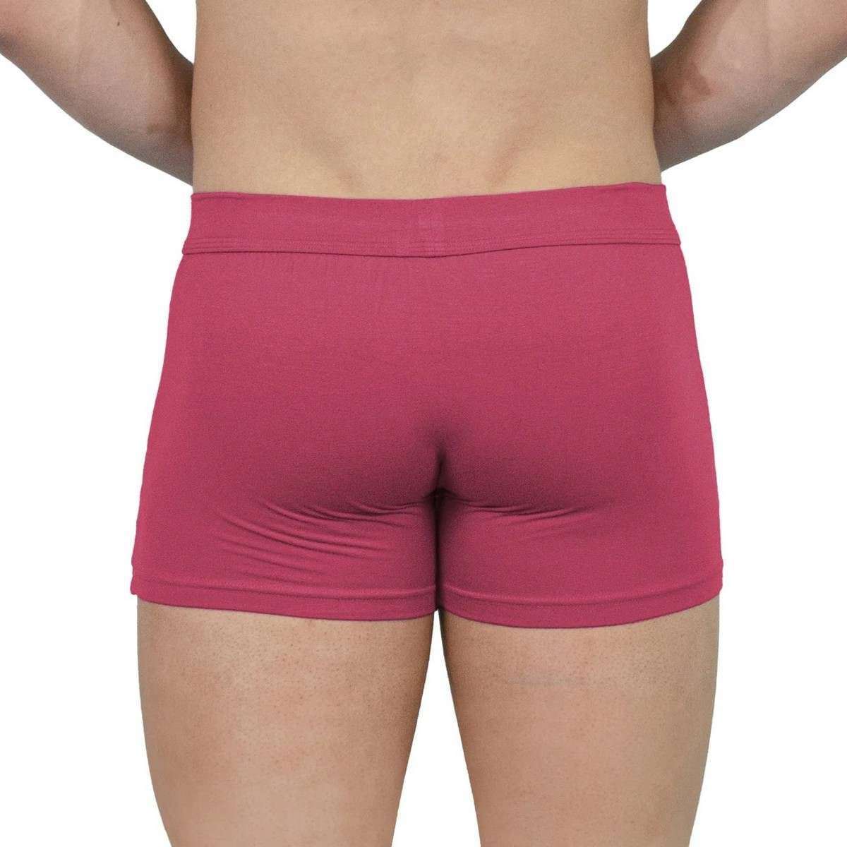 Obviously EliteMan Boxer Brief 3inch Leg - Brick Red - Image 5