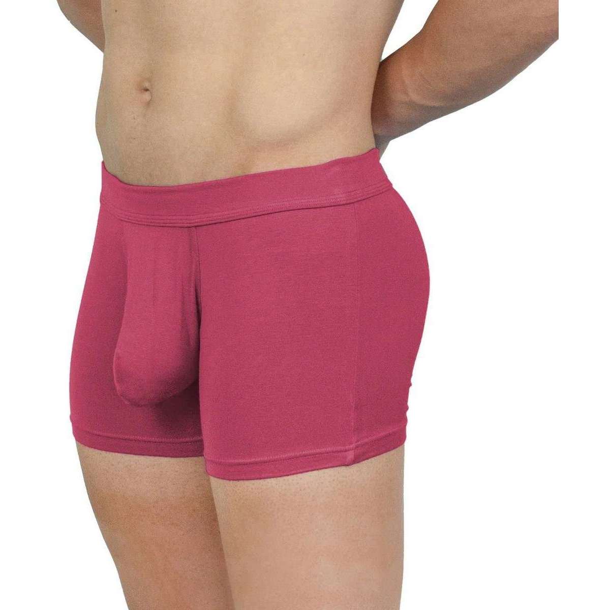 Obviously EliteMan Boxer Brief 3inch Leg - Brick Red - Image 6