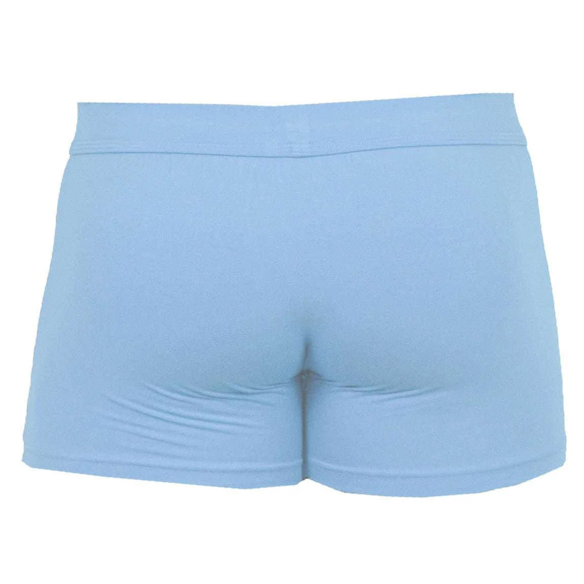 Obviously EliteMan Boxer Brief 3inch Leg - Sky Blue - Image 2