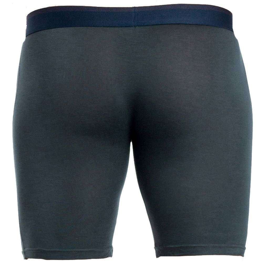 Obviously FreeMan AnatoFREE Boxer Brief 6inch Leg - Ash Grey - Image 2