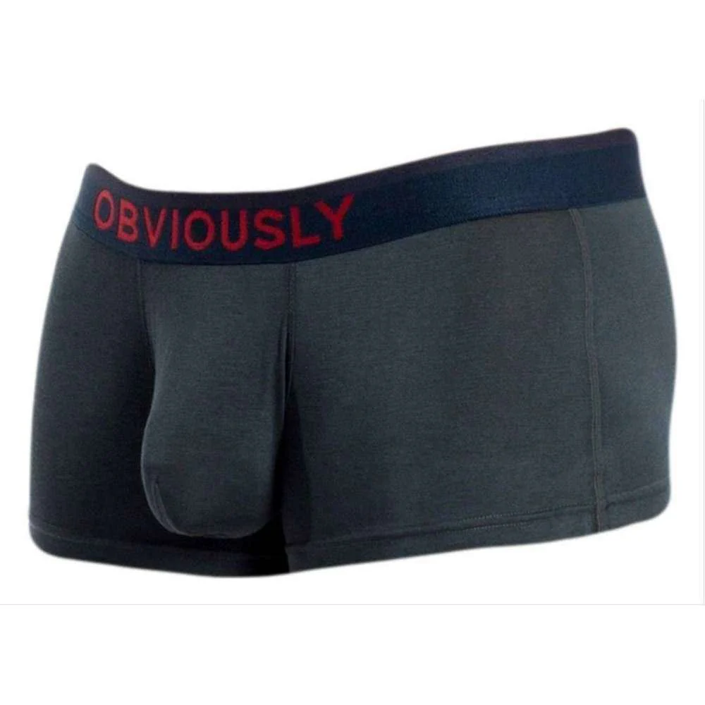 Obviously FreeMan AnatoFREE Trunk - Ash Grey - Image 2
