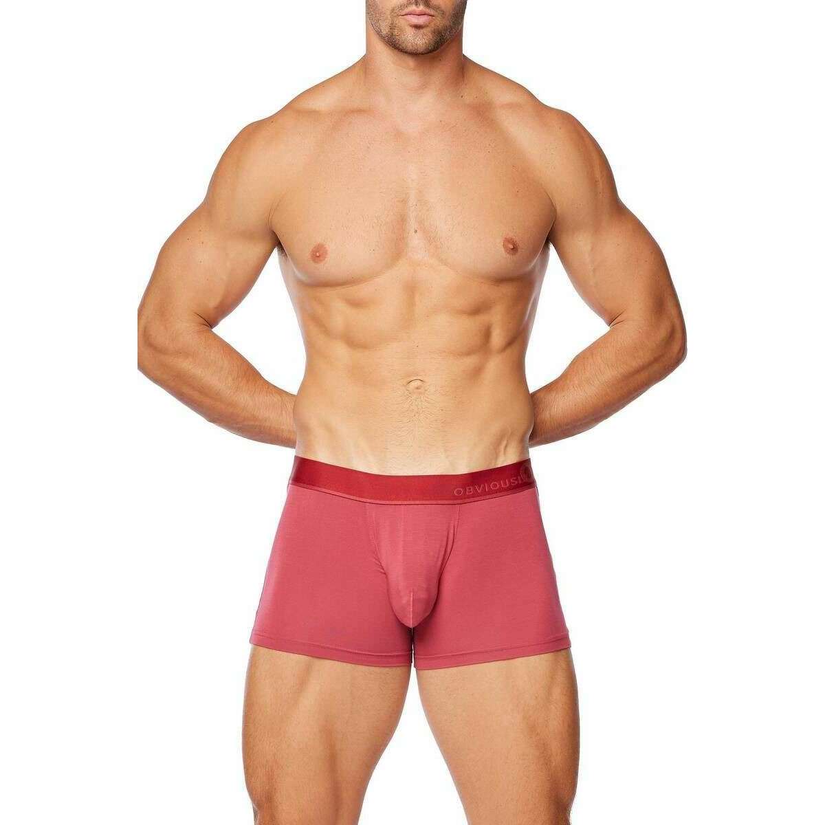 Obviously PrimeMan Boxer Brief 3inch Leg - Brick Red - Image 4
