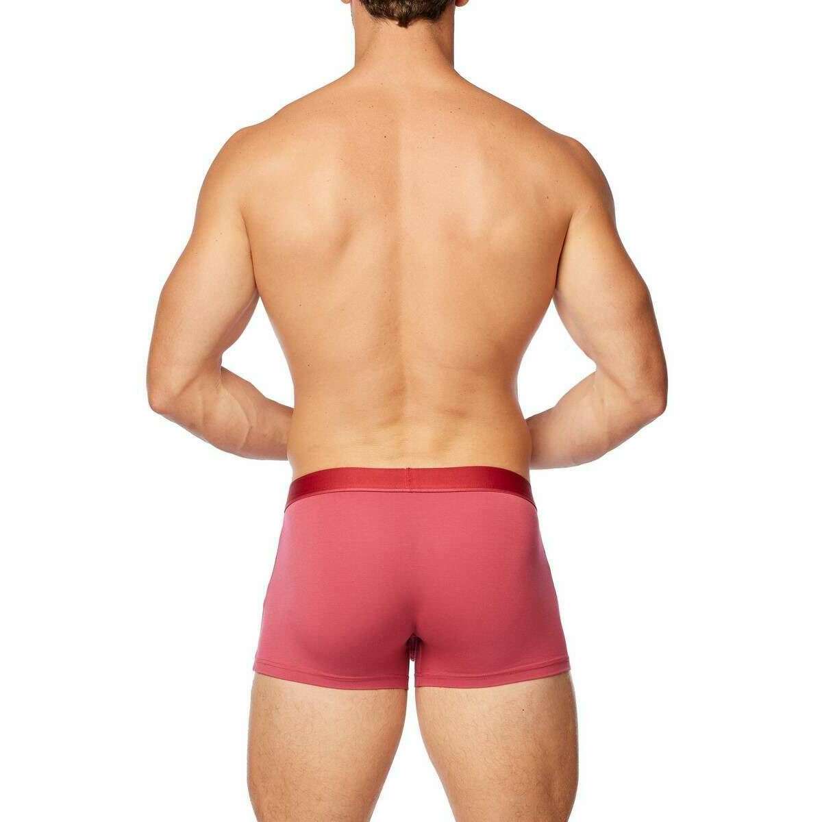 Obviously PrimeMan Boxer Brief 3inch Leg - Brick Red - Image 5