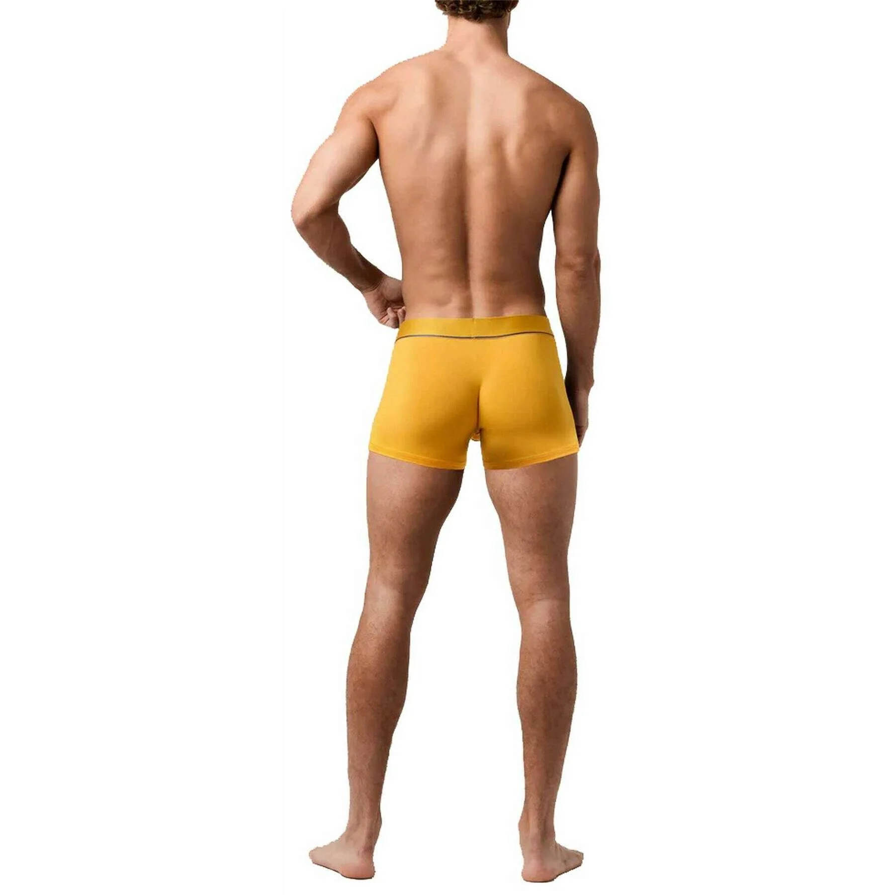 Obviously PrimeMan Boxer Brief 3inch Leg - Gold - Image 4