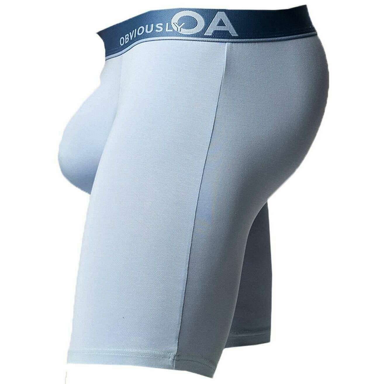 Obviously PrimeMan Boxer Brief 9inch Leg - Celestial Blue - Image 3