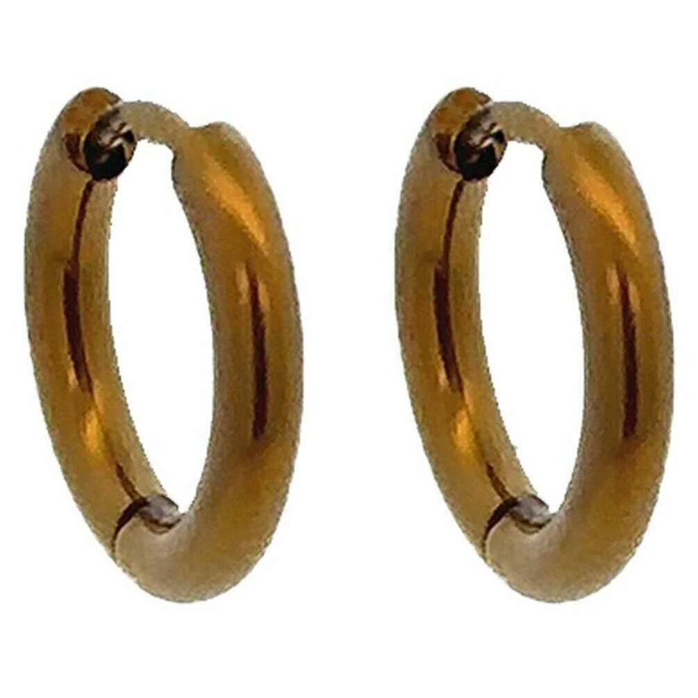 Ti2 Titanium Small Round Hinged Hoop Earrings - Tan